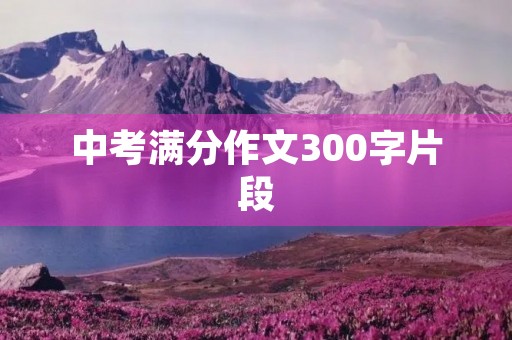中考满分作文300字片段