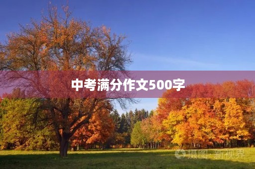 中考满分作文500字