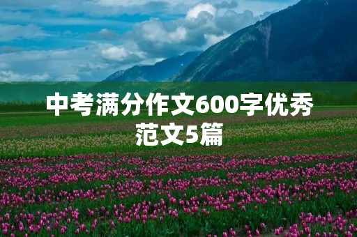 中考满分作文600字优秀范文5篇