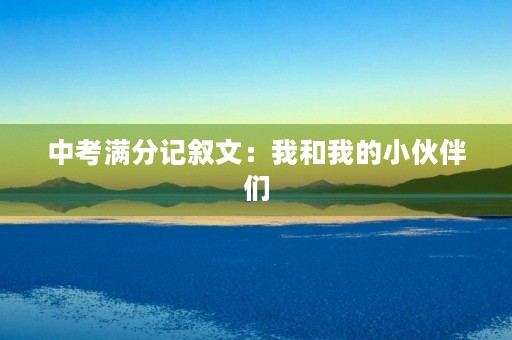 中考满分记叙文：我和我的小伙伴们
