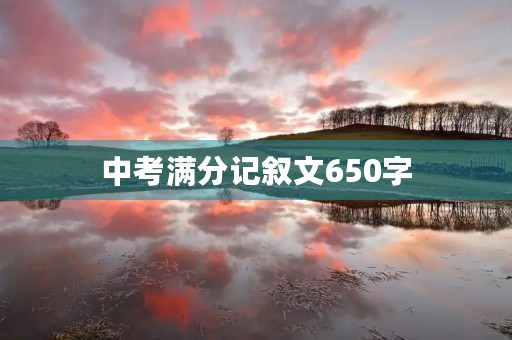 中考满分记叙文650字