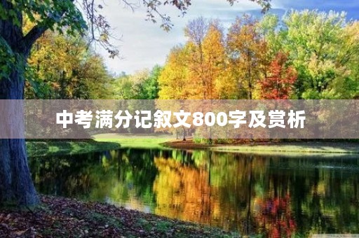 中考满分记叙文800字及赏析 中考满分记叙文800字及赏析
