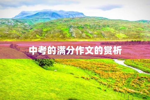 中考的满分作文的赏析 中考的满分作文的赏析