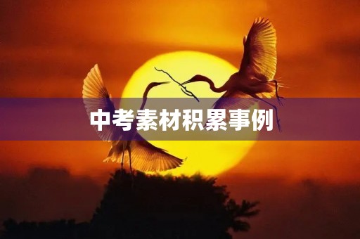 中考素材积累事例 中考素材积累事例