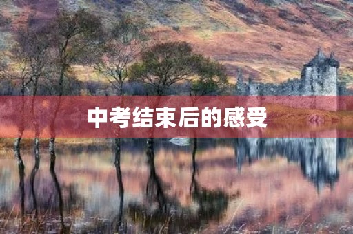 中考结束后的感受 中考结束后的感受