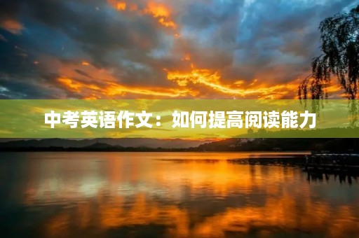 中考英语作文：如何提高阅读能力