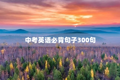 中考英语必背句子300句