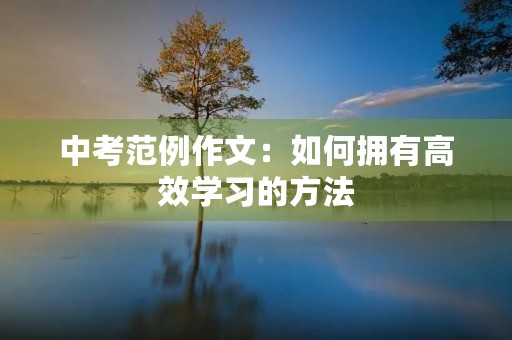 中考范例作文:如何拥有高效学习的方法 中考范例作文:如何拥有高效学习的方法