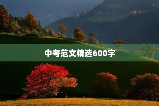 中考范文精选600字 中考范文精选600字