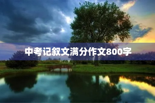 中考记叙文满分作文800字 中考记叙文满分作文800字