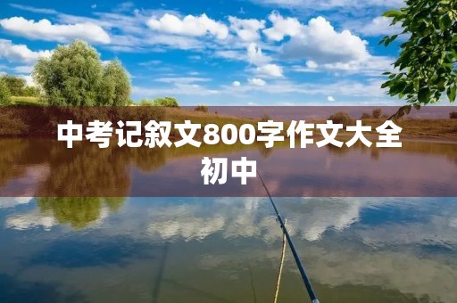 中考记叙文800字作文大全初中 中考记叙文800字作文大全初中