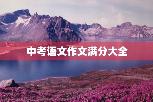 中考语文作文满分大全 中考语文作文满分大全