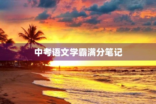 中考语文学霸满分笔记 中考语文学霸满分笔记