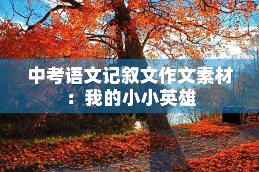 中考语文记叙文作文素材:我的小小英雄 中考语文记叙文作文素材:我的小小英雄