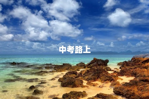 中考路上,奋斗不止 中考路上,奋斗不止