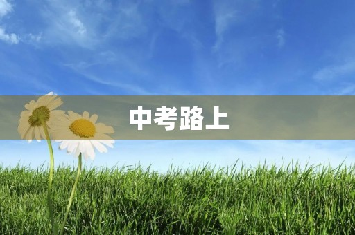 中考路上,我和我的选择 中考路上,我和我的选择