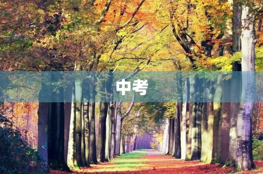 中考,你我同行 中考,你我同行