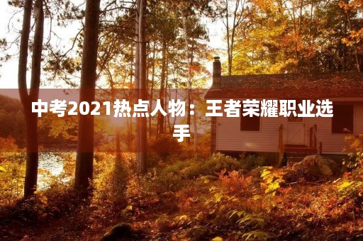 中考2021热点人物：王者荣耀职业选手