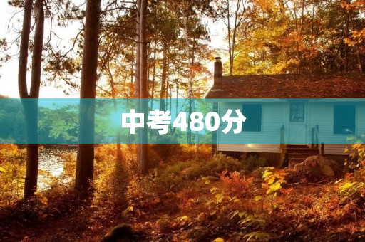 中考480分,上职高还是普高? 中考480分,上职高还是普高?