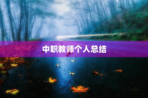 中职教师个人总结