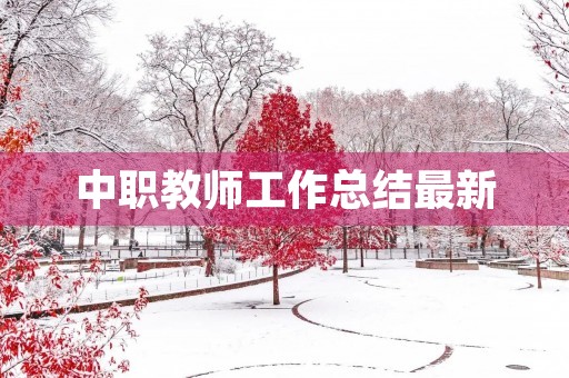 中职教师工作总结最新