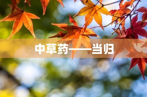 中草药——当归 中草药——当归