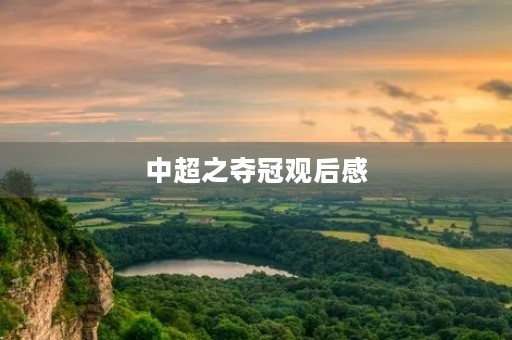 中超之夺冠观后感