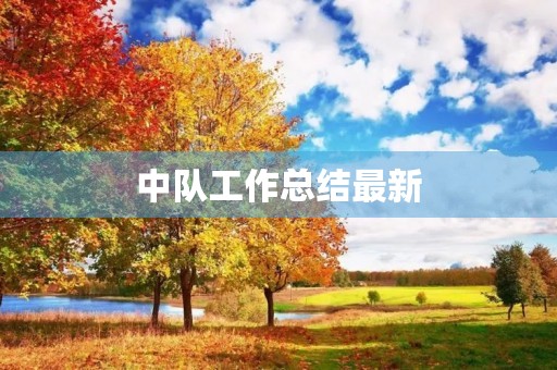 中队工作总结最新