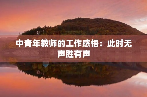 中青年教师的工作感悟：此时无声胜有声