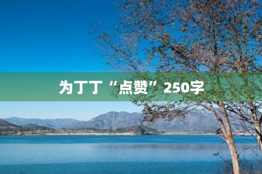 为丁丁“点赞”250字