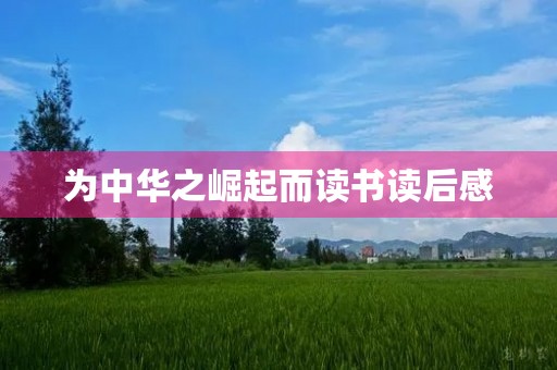 为中华之崛起而读书读后感