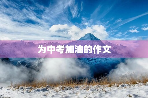 为中考加油的作文