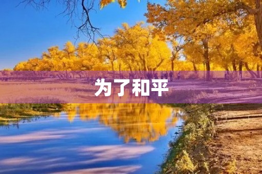 为了和平,我们需要思考 为了和平,我们需要思考
