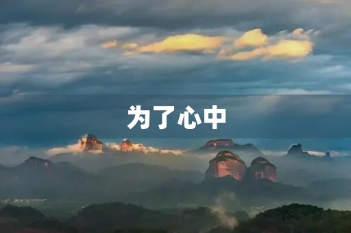为了心中