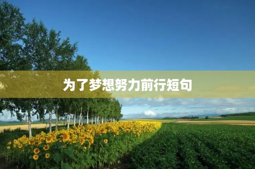 为了梦想努力前行短句(向梦想出发的励志句子) 为了梦想努力前行短句(向梦想出发的励志句子)