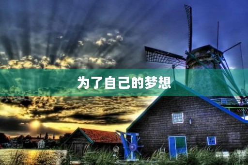 为了自己的梦想，我选择坚持不懈