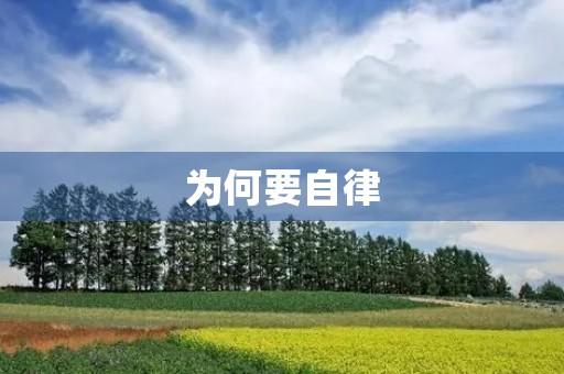为何要自律