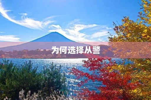 为何选择从警，如何成为一名优秀的警察，警察的职责与使命，以及我的心得体会