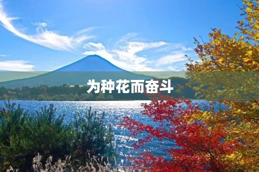 为种花而奋斗 为种花而奋斗