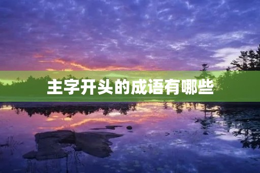 主字开头的成语有哪些