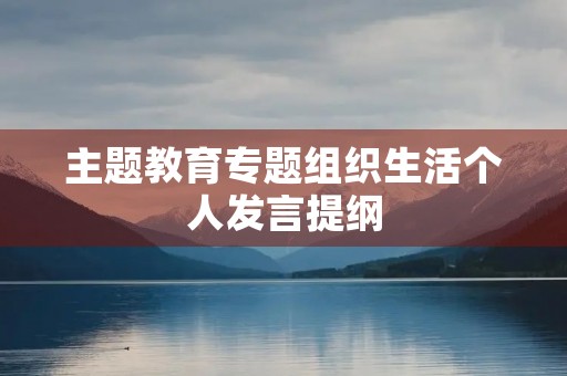 主题教育专题组织生活个人发言提纲