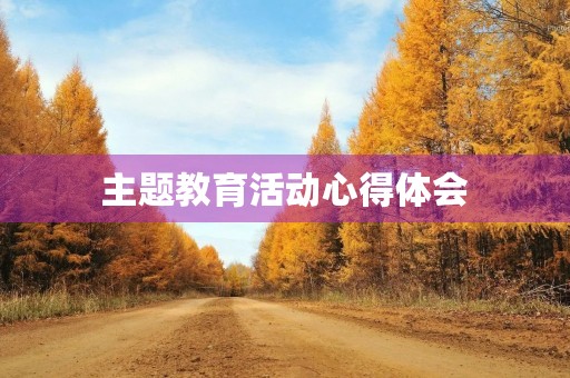 主题教育活动心得体会