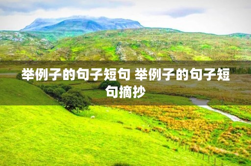 举例子的句子短句 举例子的句子短句摘抄 举例子的句子短句 举例子的句子短句摘抄