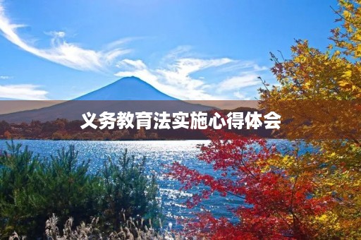义务教育法实施心得体会