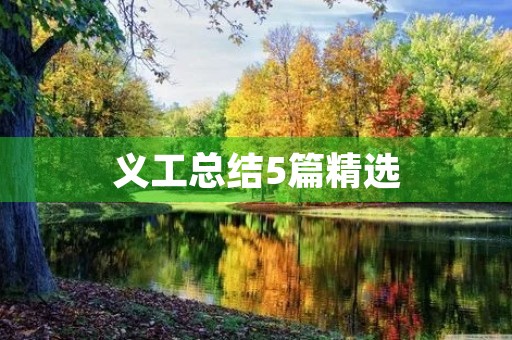 义工总结5篇精选