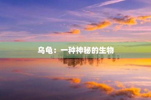 乌龟：一种神秘的生物