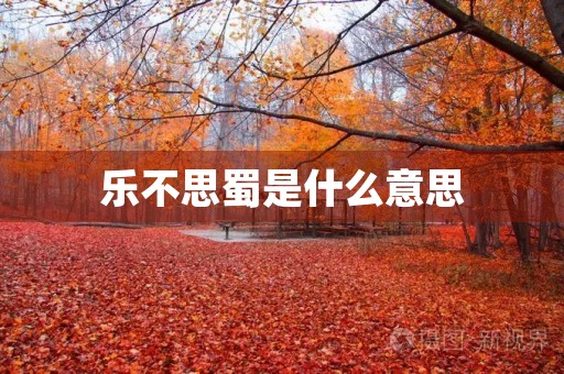 乐不思蜀是什么意思