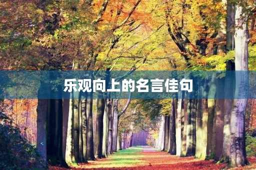 乐观向上的名言佳句(乐观向上的名言佳句摘抄)