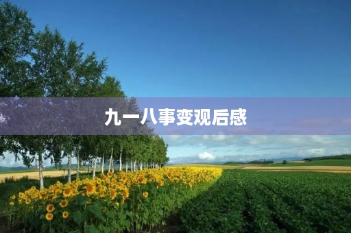 九一八事变观后感