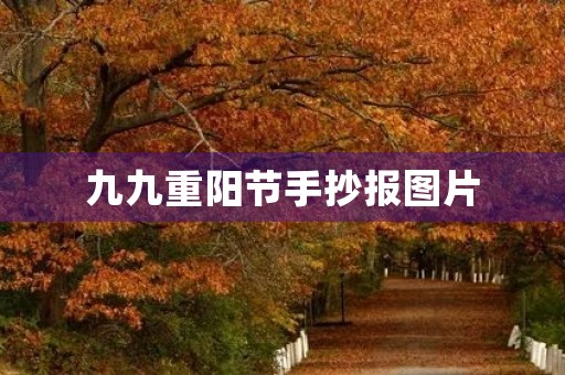 九九重阳节手抄报图片，4～6年级重阳节手抄报内容